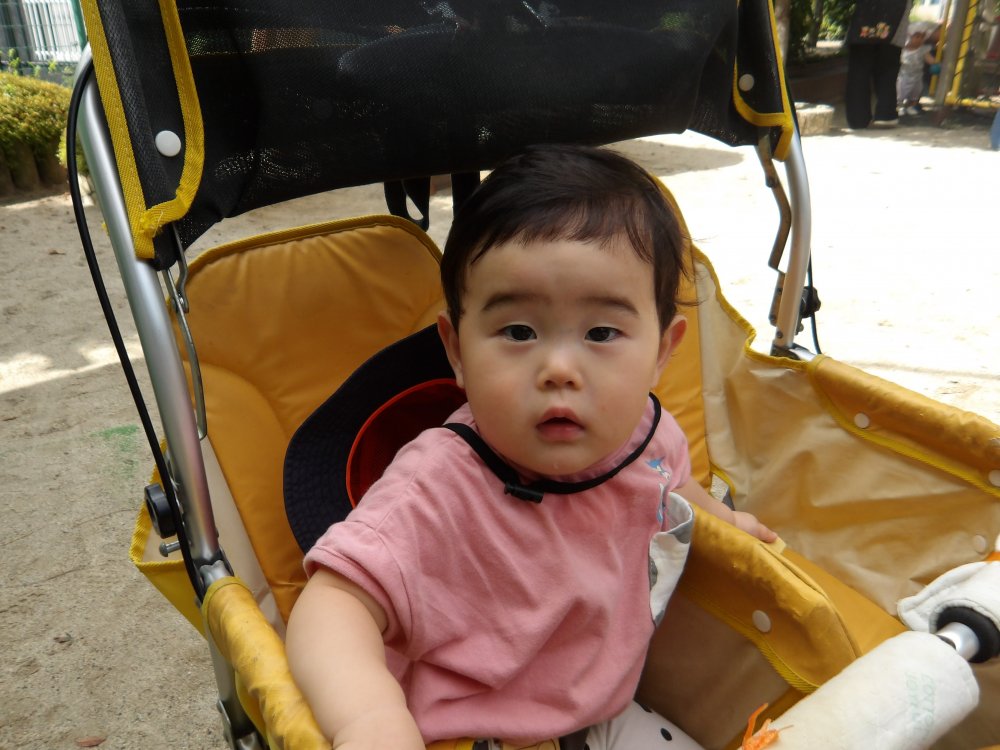 868.JPG